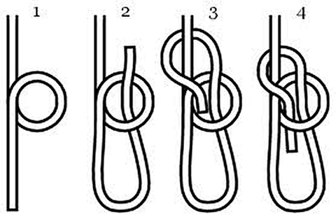 The bowline knot